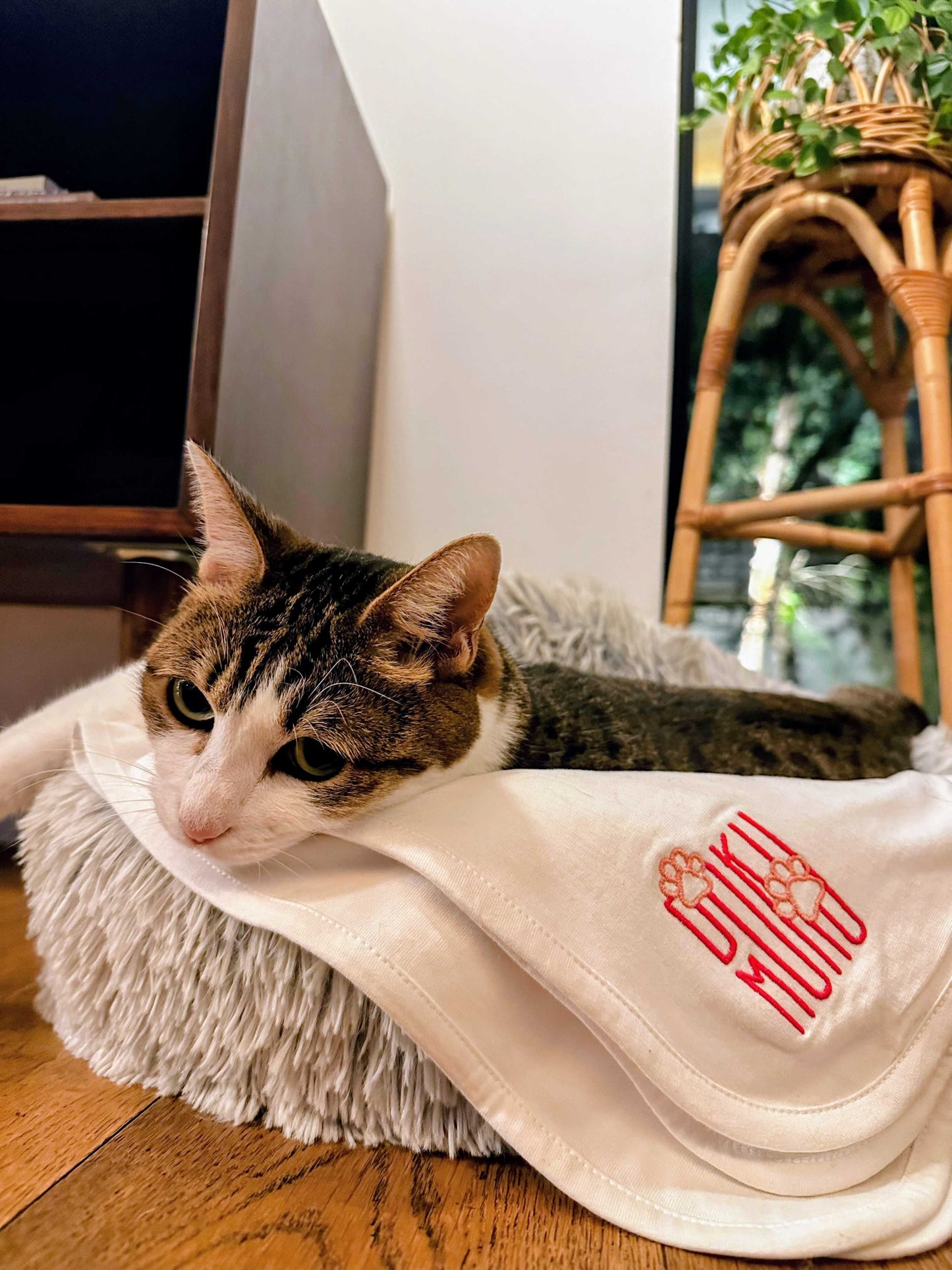 PREORDER | DOKUMOKU Katzendecke