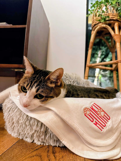 PREORDER | DOKUMOKU Katzendecke